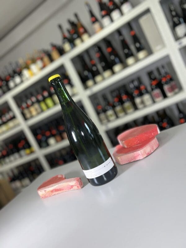 Abanna 2021 - Abracadabra