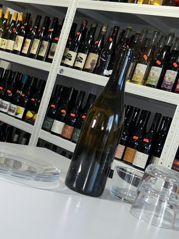 Bourgogne Aligoté Skin 2022 - AMI back