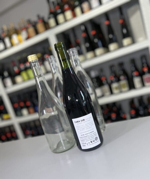 Cara Sur Tinto 2020 - Cara Sur