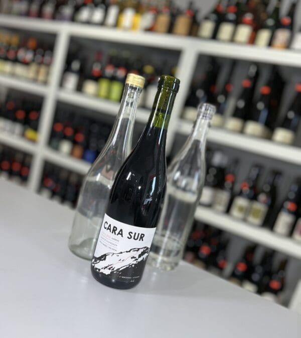 Cara Sur Tinto 2020 - Cara Sur