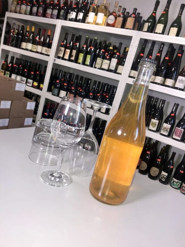 Copenhagen Cider 2020 - Gustavs