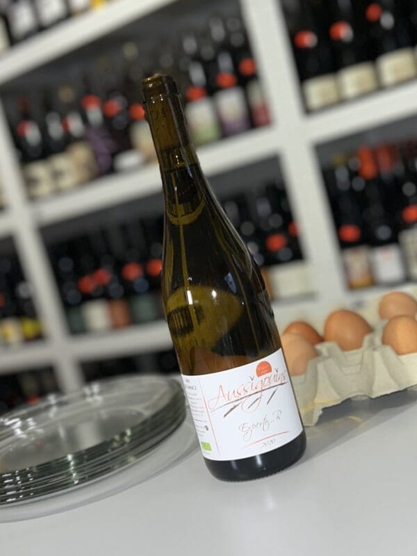 Experto…R 2020 - Les Aussigouins front