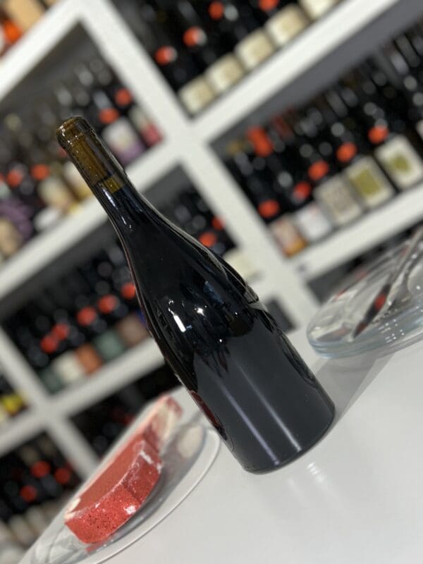 Frérots 2022 - Les Salicaires back