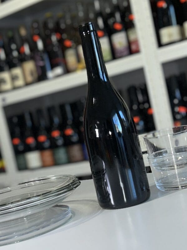 Gaminot 2021 - AMI back