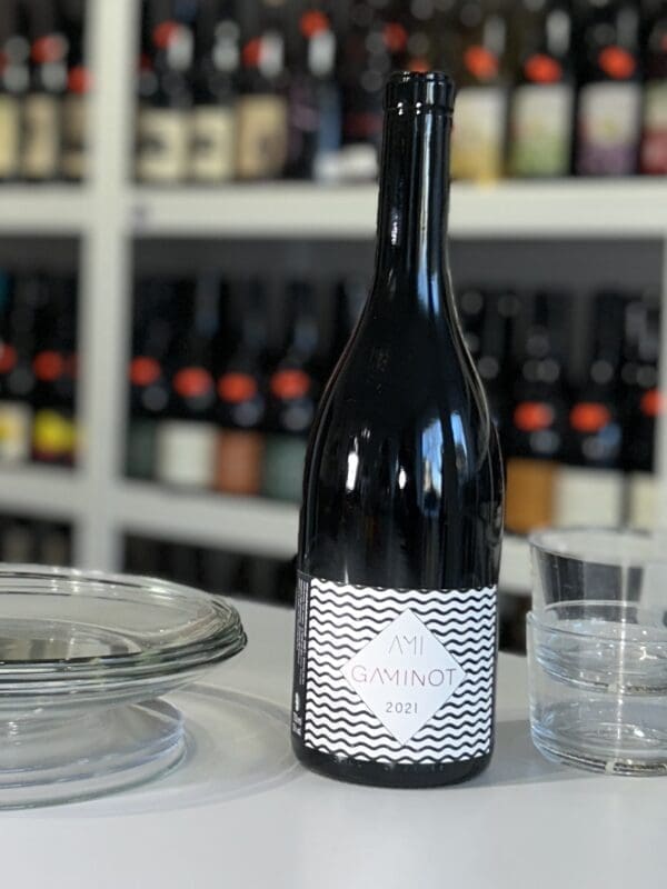 Gaminot 2021 - AMI front