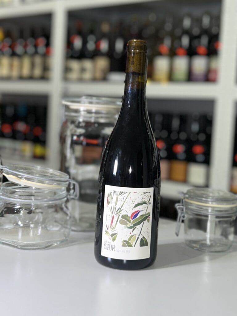 Gamins 2021 - Domaine de la Petite Sœur front