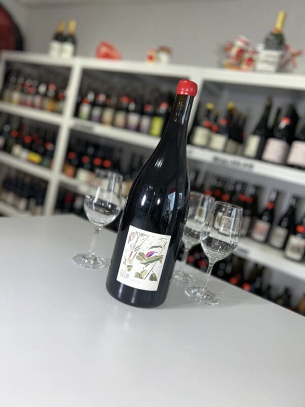 Gamins Magnum 2023 - Domaine de la Petite Sœur