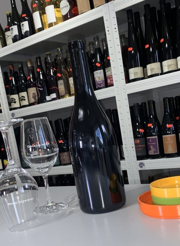 Savigny les Beaunes Rouge 2022 - AMI