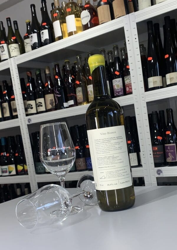 Pietre 2021 - Antonio Gismondi