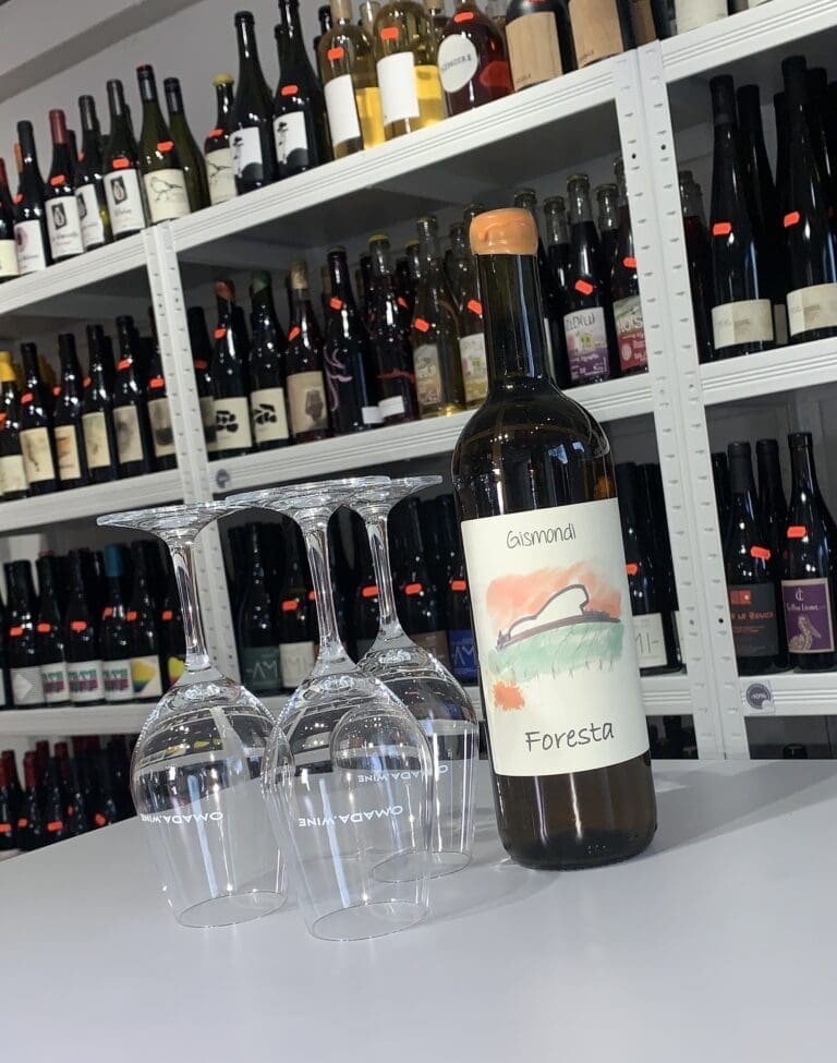 Foresta 2021 - Antonio Gismondi