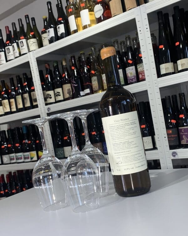 Foresta 2021 - Antonio Gismondi