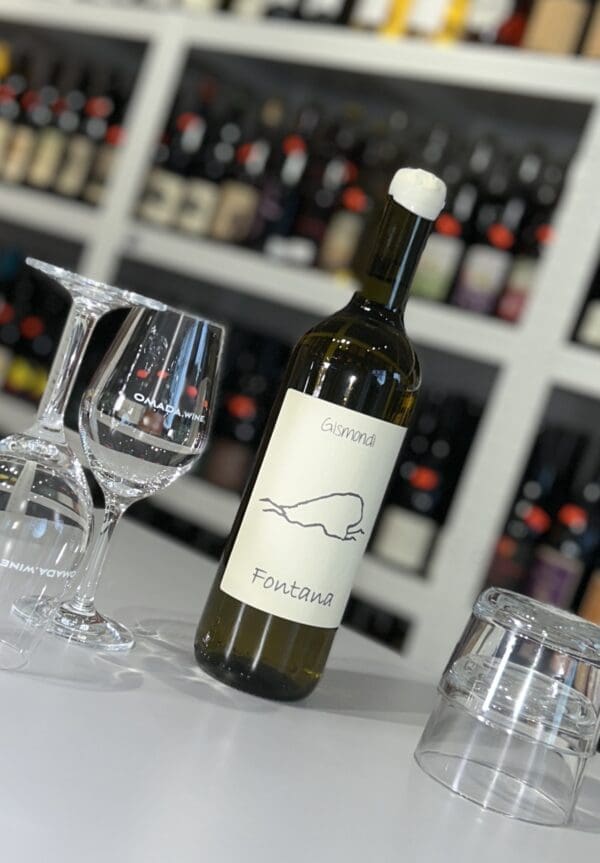 Fontana 2020 - Antonio Gismondi