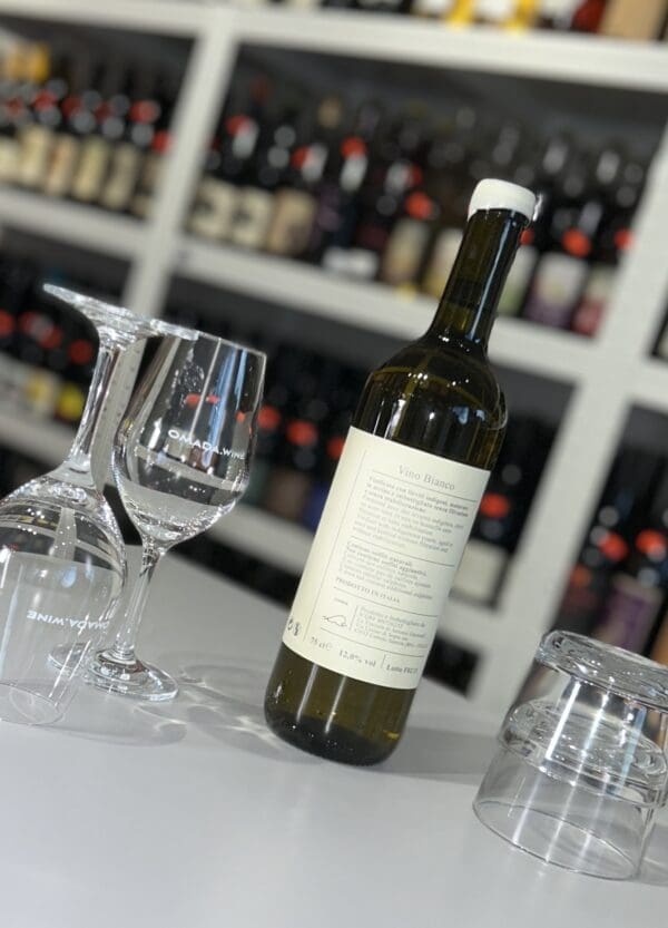 Fontana 2020 - Antonio Gismondi