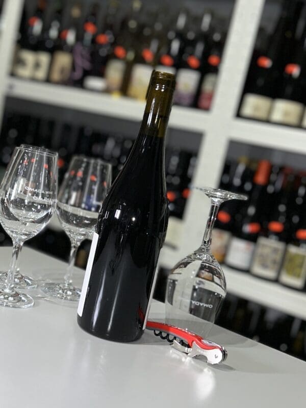 La Cuca de llum 2021 - Succés Vinícola