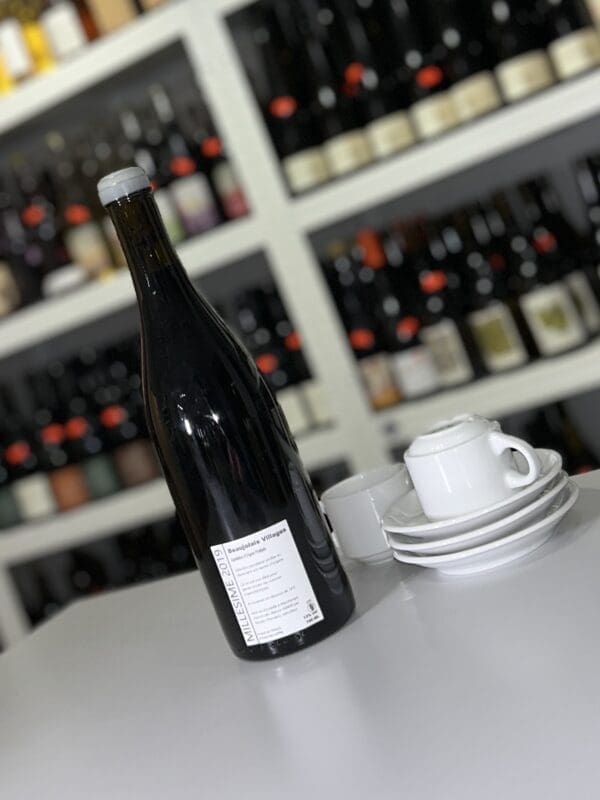 Le Rocher 2019 - P'tit Grobis back