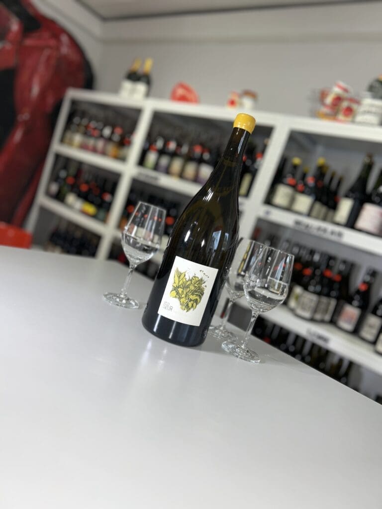 Les Justices Magnum 2023 - Domaine de la Petite Sœur