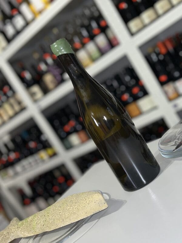 Les Suquets 2022 - Les Bariolés back