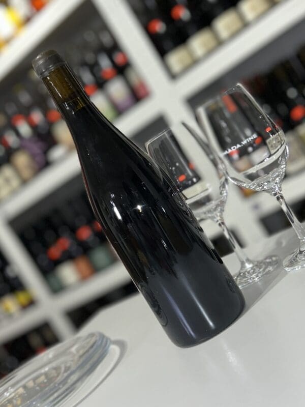 Leynes 2019 - Philippe Jambon back