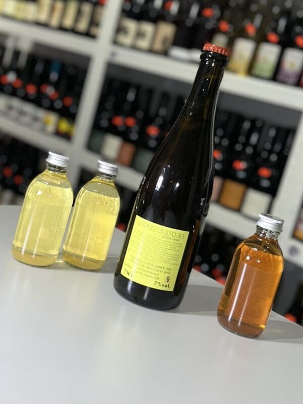 Lotto Fruit 2021 - Côme Isambert back