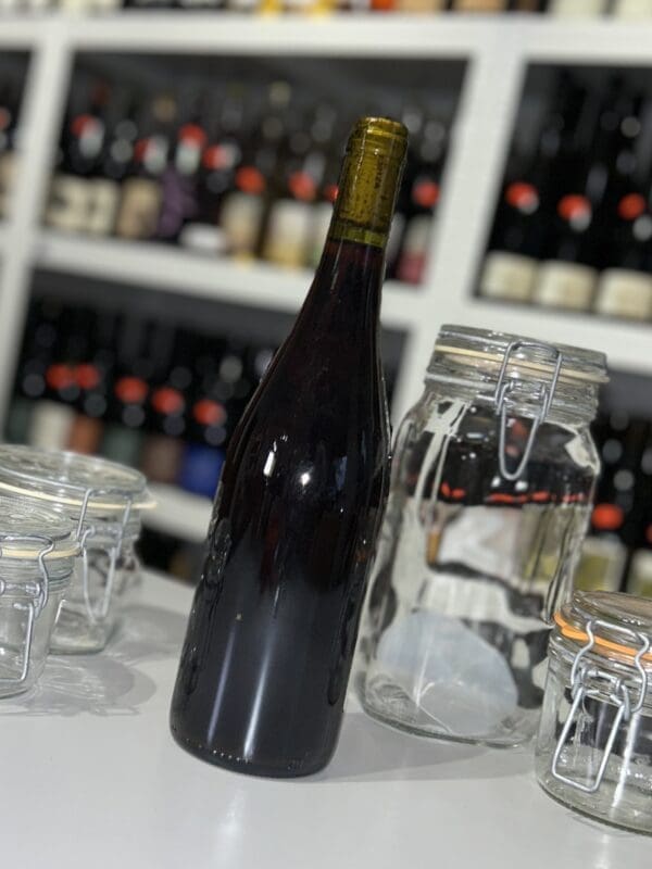 MC Pinot Noir 2022 - Marie & Vincent Tricot back