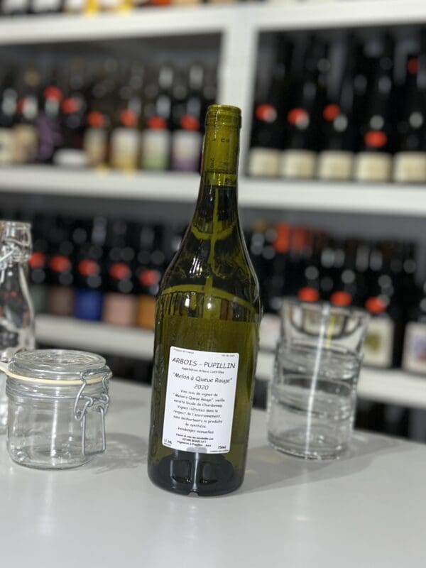 Melon à Queue Rouge 2020 - Kevin Bouillet back