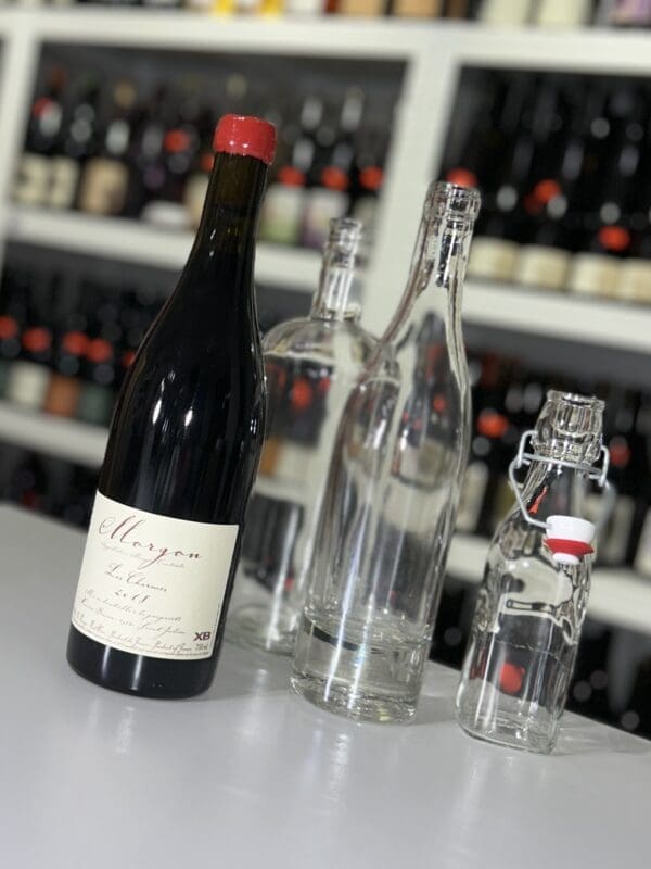 Morgon 2018 - Xavier Benier front