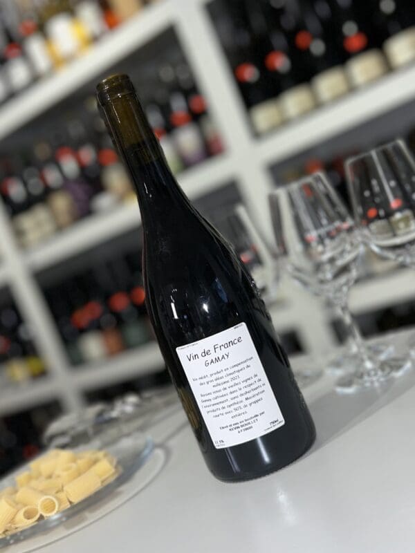 Pépin d'Ailleurs 2021 - Kevin Bouillet back