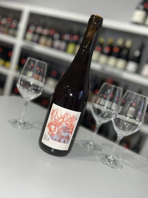 Plasma 2025 - Domaine de la Petite Sœur