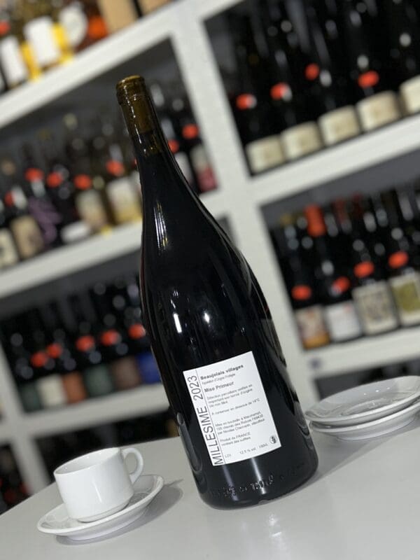 Premier Jus MAGNUM 2023 - P'tit Grobis back