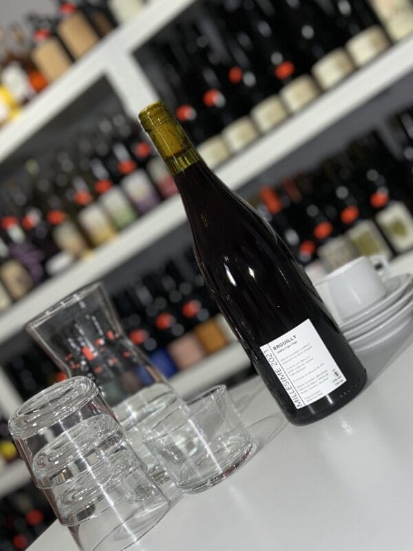 Saburin - Brouilly 2021 - P'tit Grobis back