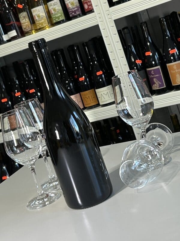 Saint Romain Blanc 2020 - AMI back