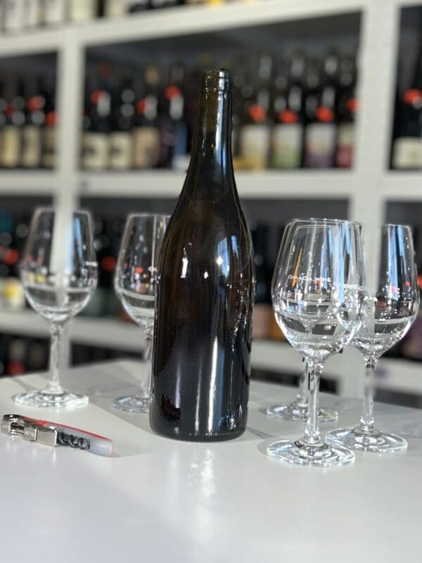 Sea Sex and Sun 2021 - AMI back