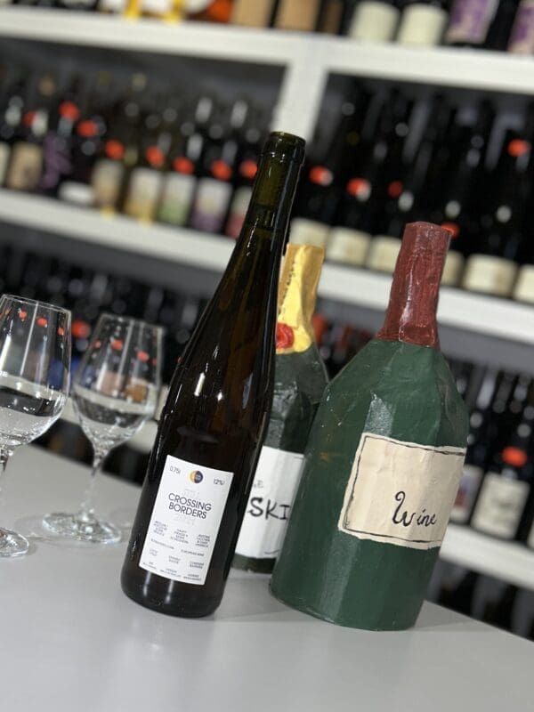 Still Crossing Borders 2021 - Soma Vines