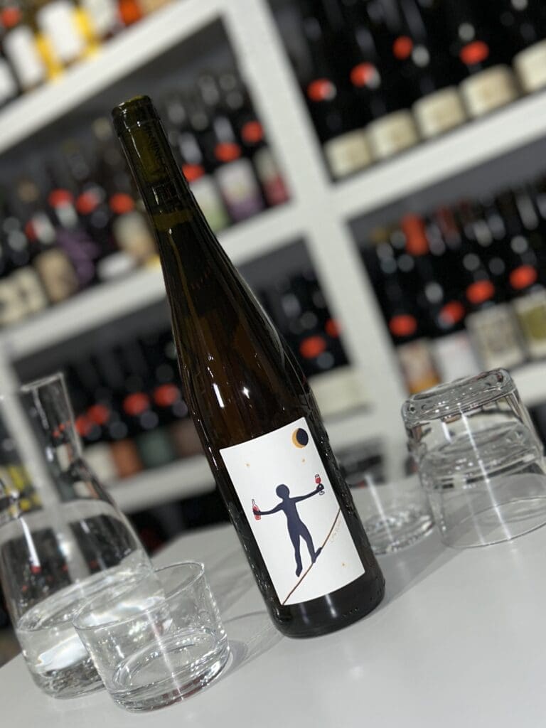 Still Crossing Borders 2021 - Soma Vines