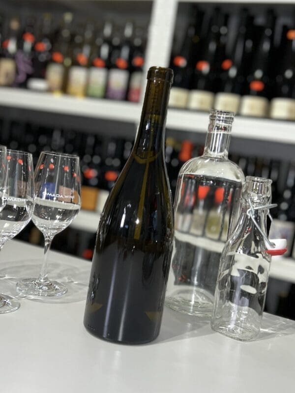 Torlit 2022 - Les Salicaires back