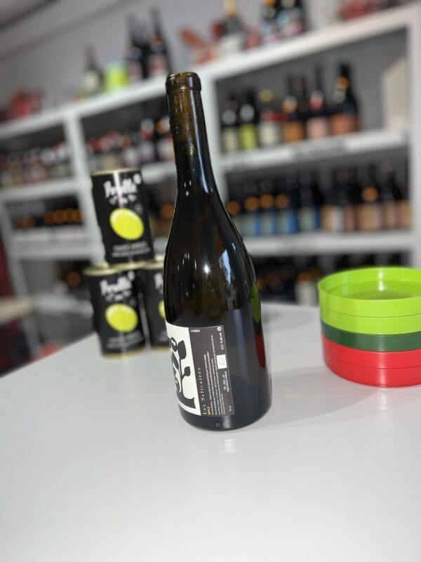 Diplo 2024 - Les Salicaires