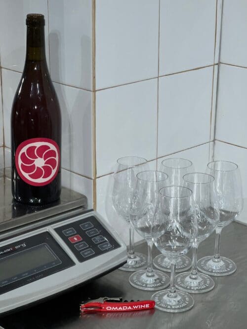 Natural Wine Pro Kit