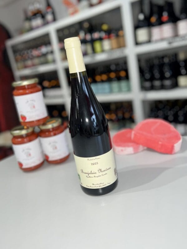 Beaujolais Villages Nouveau 2025 - Xavier Benier