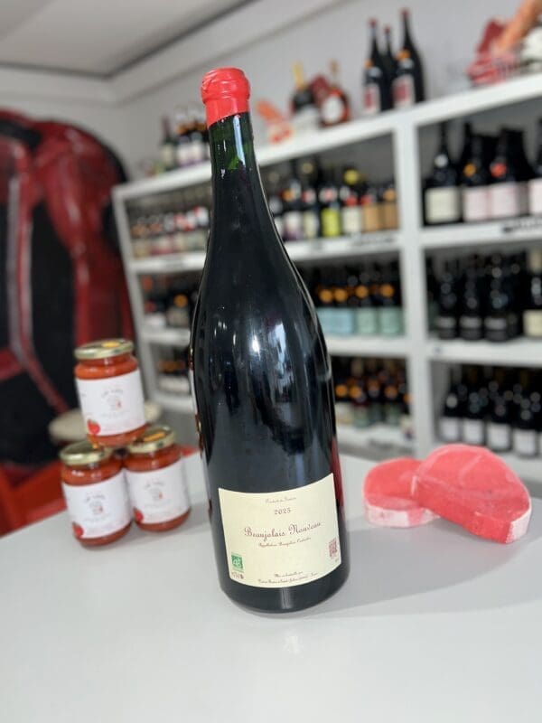 Beaujolais Villages Nouveau Jeroboam 2025 - Xavier Benier