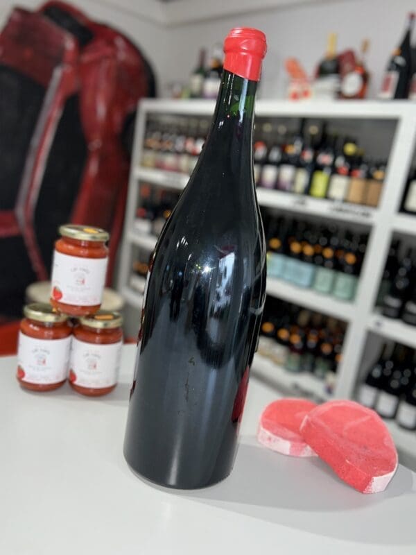 Beaujolais Villages Nouveau Jeroboam 2025 - Xavier Benier