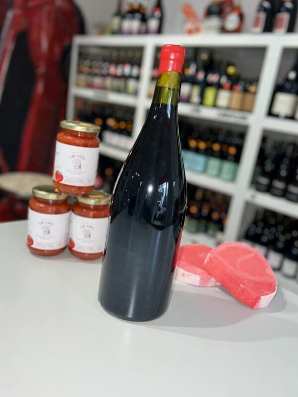 Beaujolais Villages Nouveau Magnum 2025 - Xavier Benier