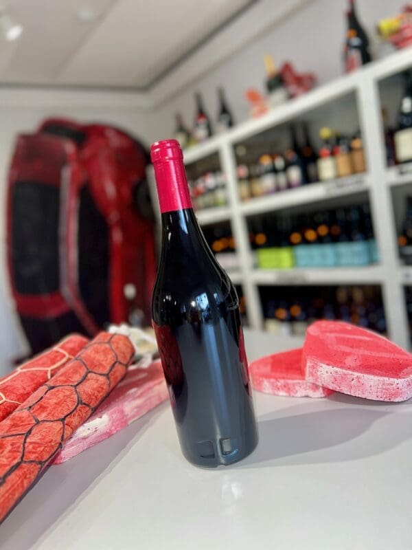 La Vigne du Louis 2023 - Michel Gahier