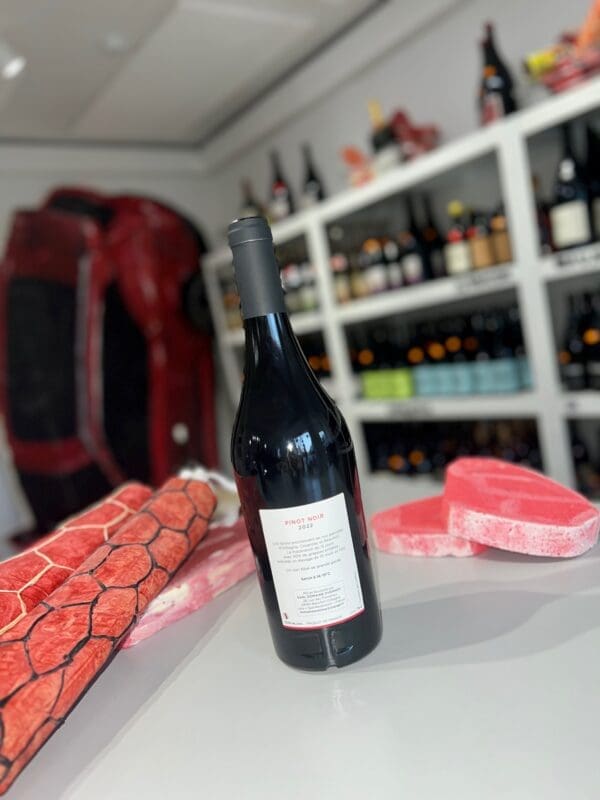 Pinot Noir 2022 - Domaine Overnoy