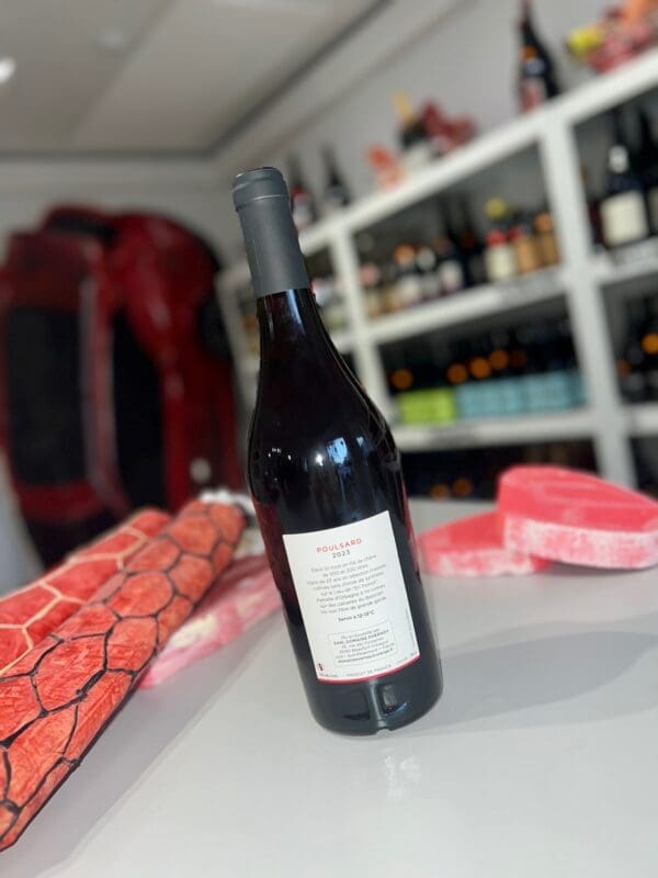 Poulsard 2023 - Domaine Overnoy