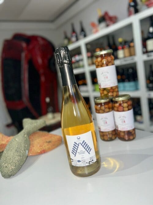 Vin Pétillant Naturel 2021 – Domaine Overnoy front Vin Pétillant Naturel 2021 - Domaine Overnoy