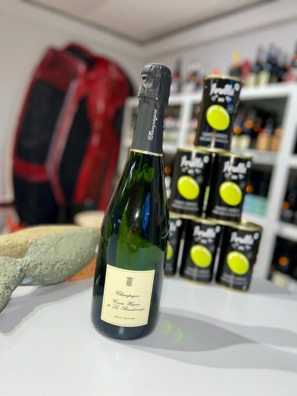 Brut Nature NV - Comte Hugues de la Bourdonnaye