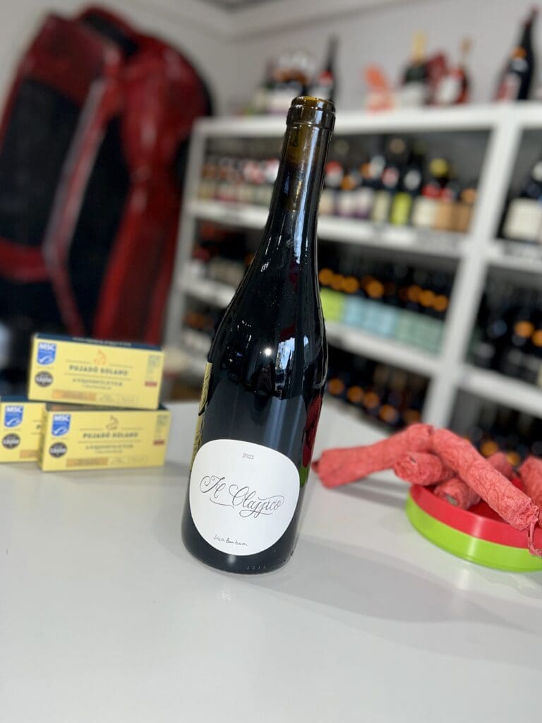 Il Classico 2023 – Luca Bambara front Il Classico 2023 - Luca Bambara