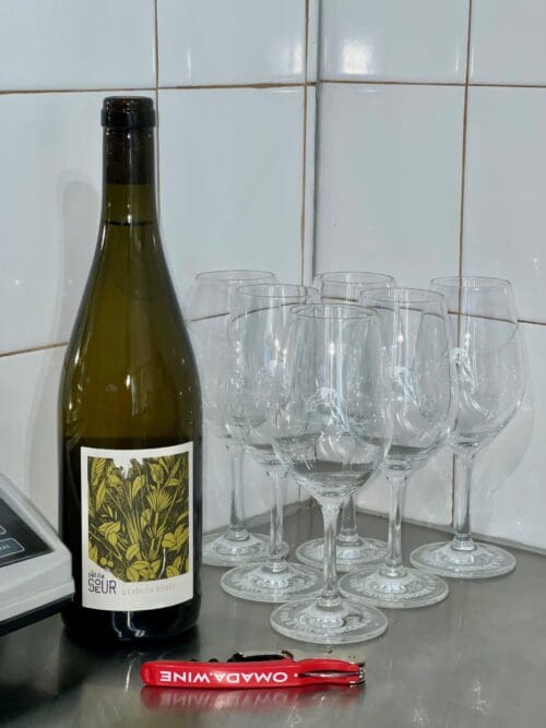 Natural Wine 101 - Pro Kit