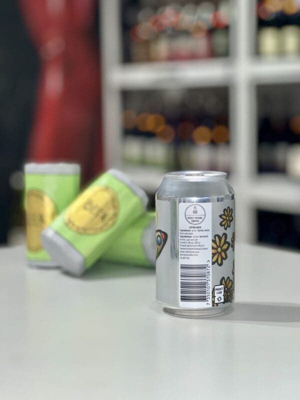 Astropils 33 cl NV - Rocket Brewing