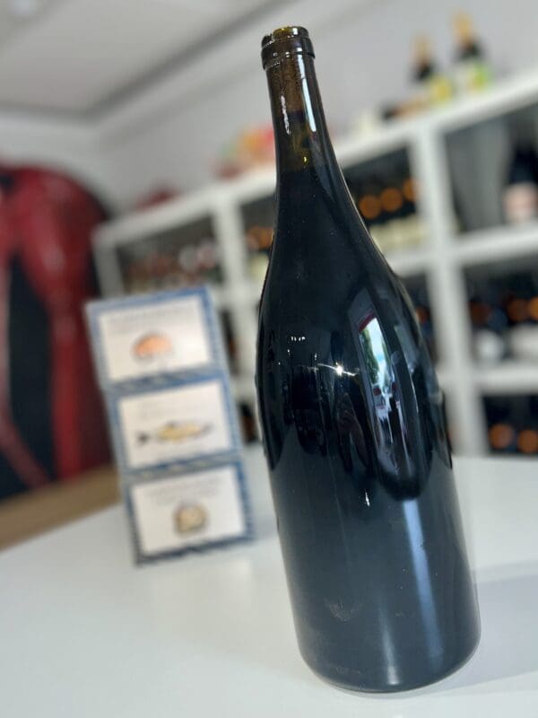 Gamins Magnum 2023 - Domaine de la Petite Sœur
